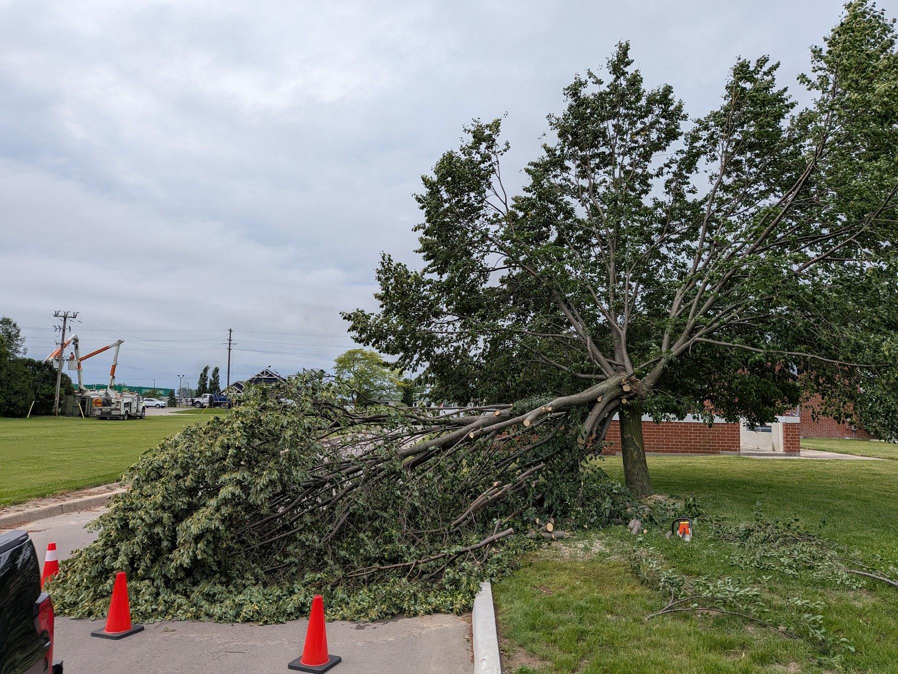 Storm Cleanup before